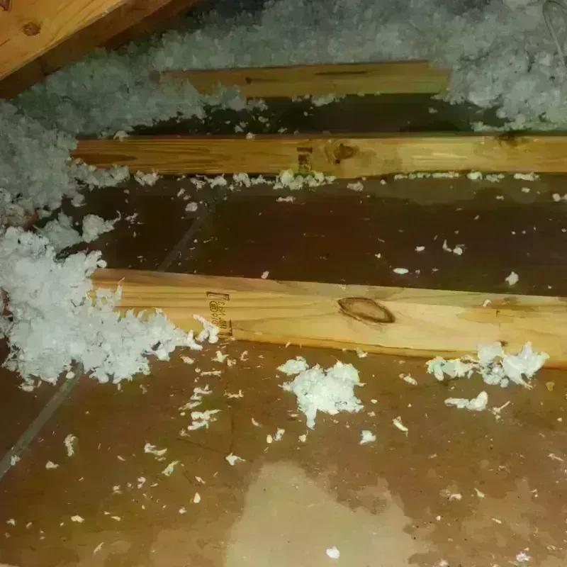 Attic Water Damage in Hugo, CO